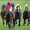 find hotels close to horse racing courses